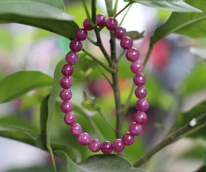 Chuỗi Ruby hồng lục bảo A+++++ S6769
