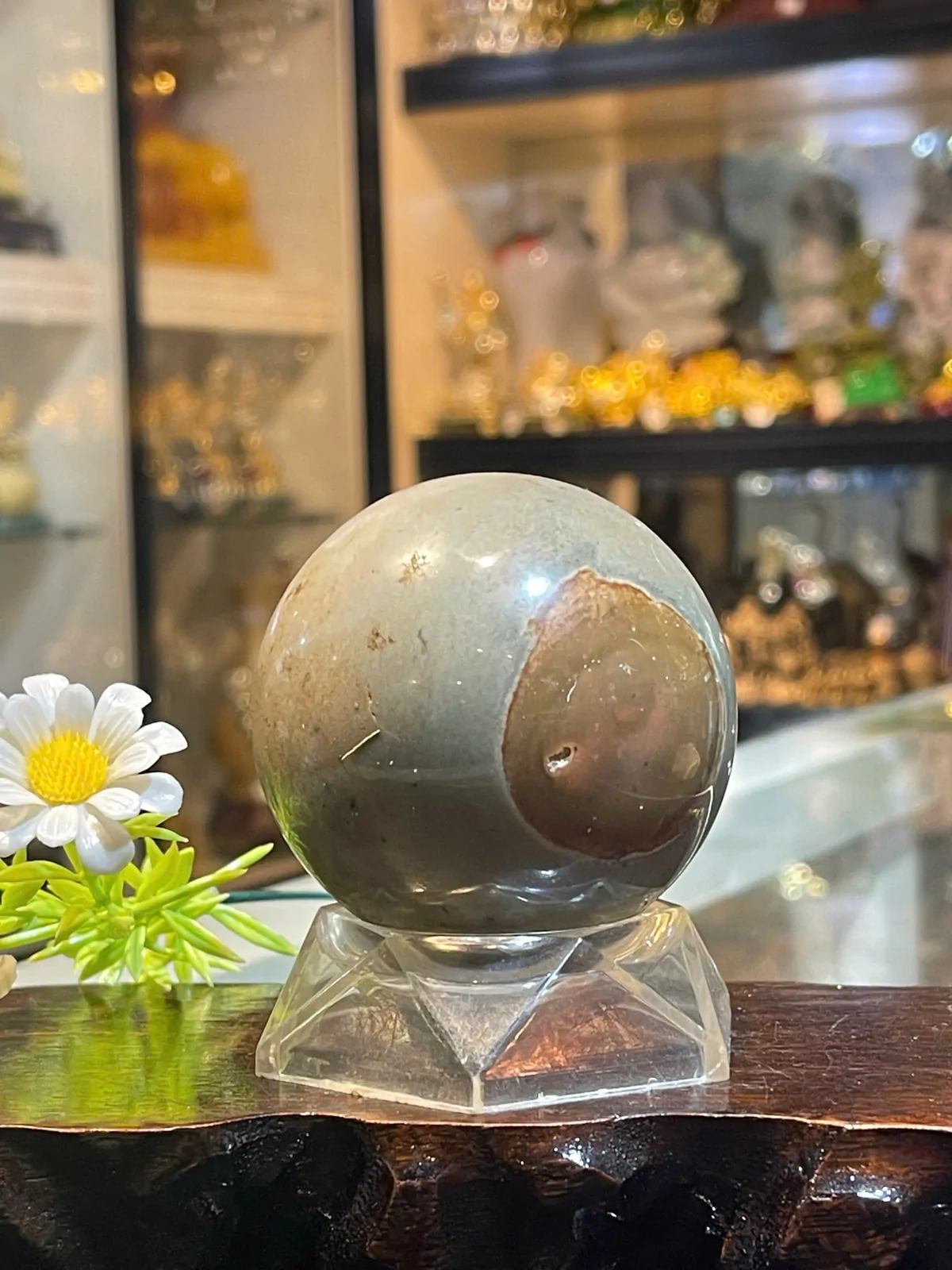 Quả cầu đá đỏ hải dương (424gr) GM147-S5-1445